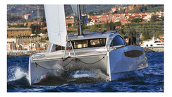 C-Cat 37